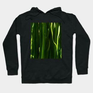 Green kelp pattern - Abstract photography Hoodie